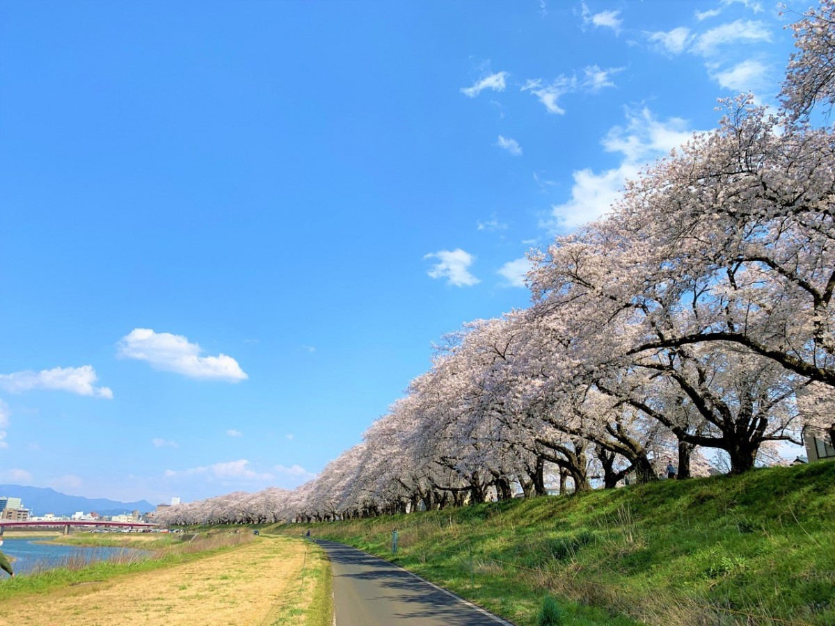 川ゴミを考える